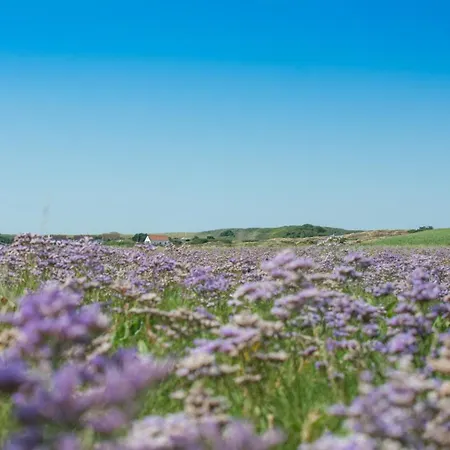 Casa de Férias Meersalz *