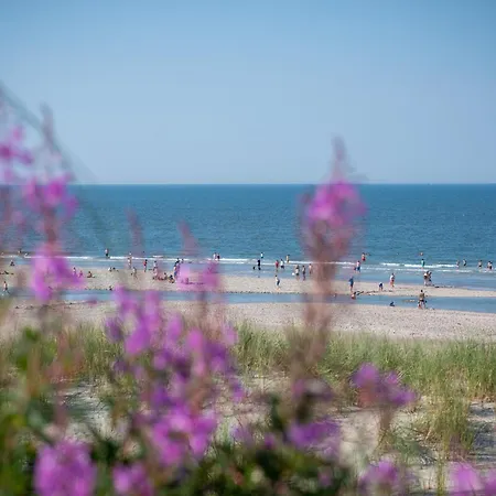 Meersalz * Spiekeroog