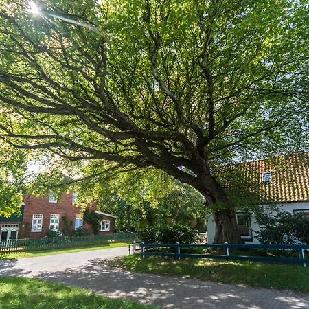 Meersalz Casa de Férias