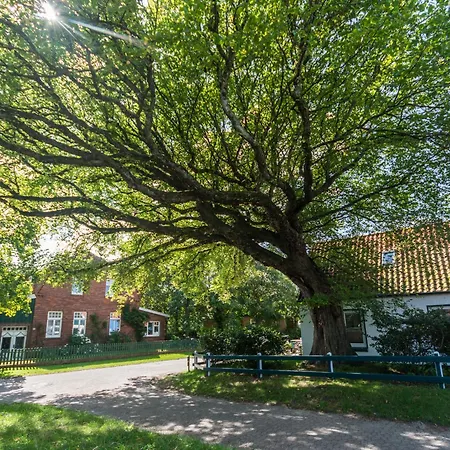 Meersalz Holiday home
