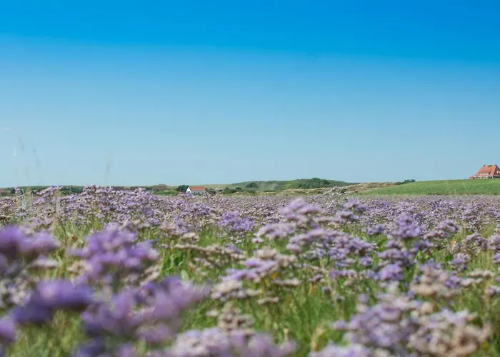 Дом отдыха Meersalz *