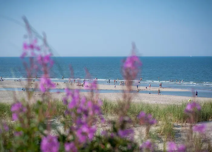 Meersalz * Шпикерог