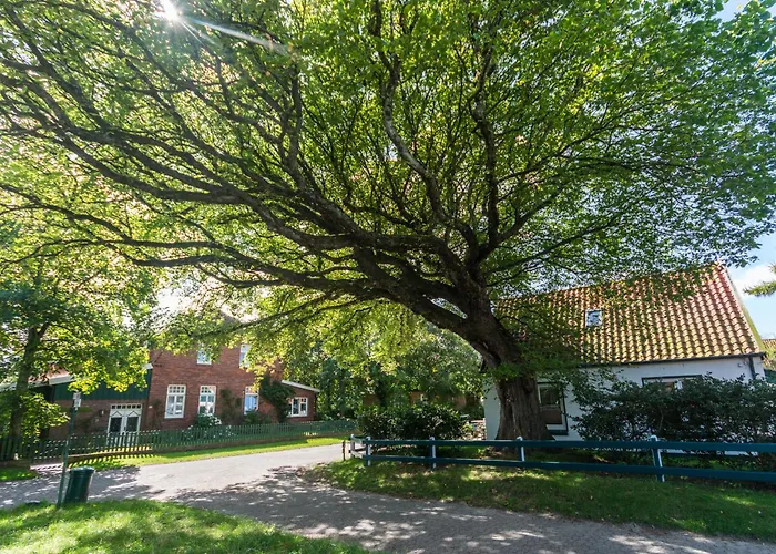 Meersalz Дом отдыха